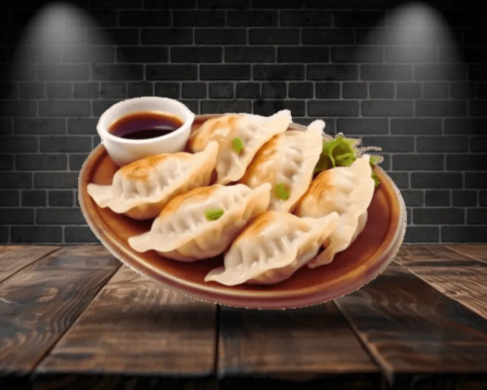 E5. Gyoza Poulet X6